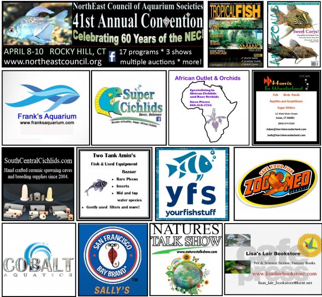 NEC 2016 Vendors.jpg NEC 2016 Vendors.jpg