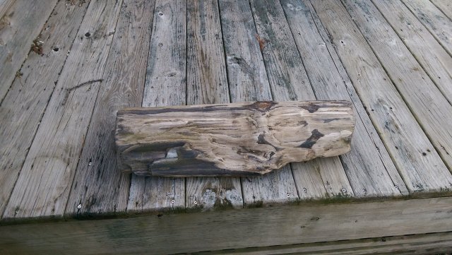 IMAG0645.jpg