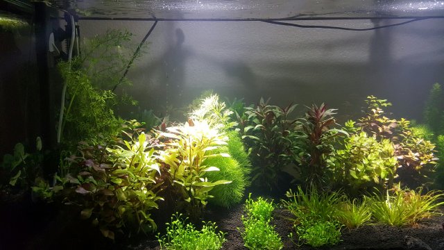 20160318_212248.jpeg
