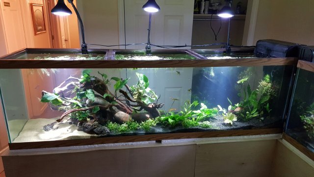 20160318_204655.jpeg