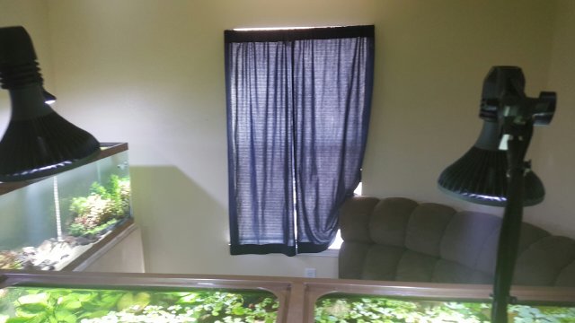 20160328_164846.jpeg