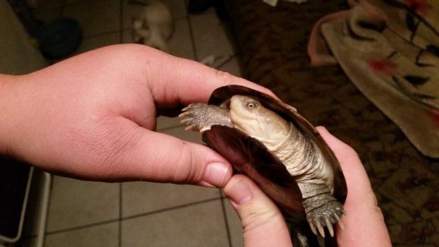 20160424_211558.jpg