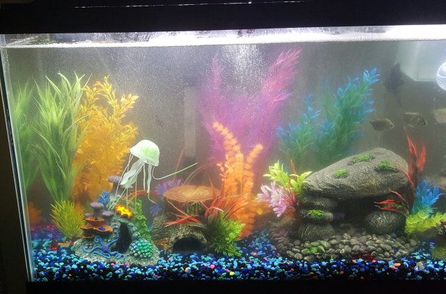 20160516_001254.jpg 20160516_001254.jpg