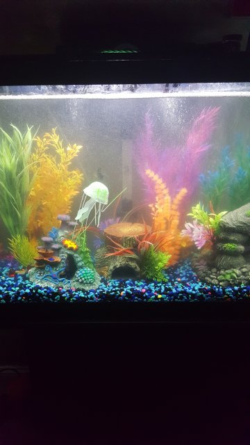 20160516_001149.jpg 20160516_001149.jpg