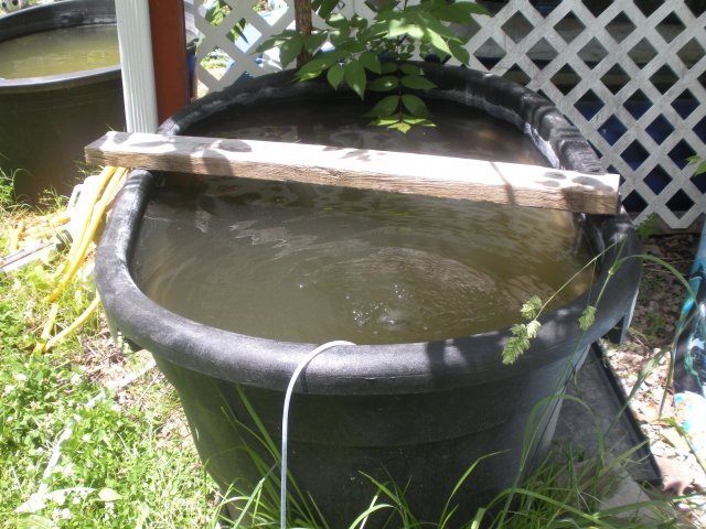 Vat 1.jpg