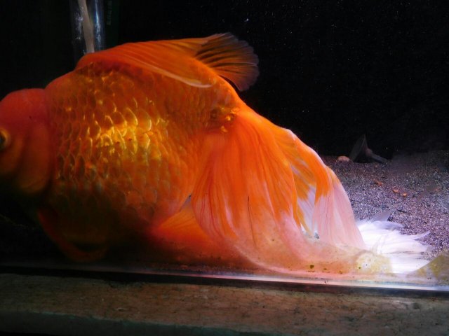 image_3.jpg image_3.jpg