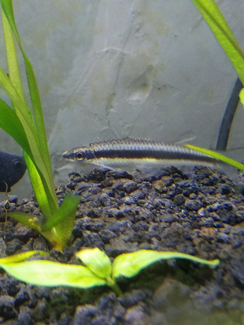 20160718_131920.jpg