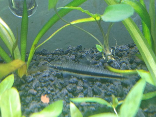 20160718_211009.jpg