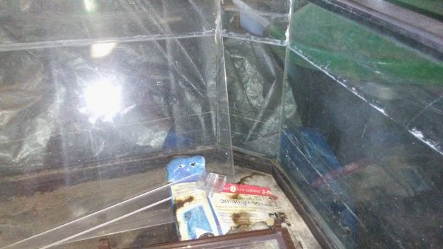 20160624_164900.jpg