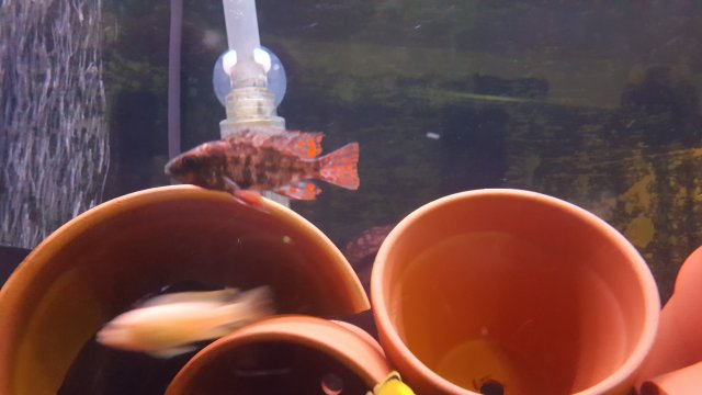 20160811_171918.jpg