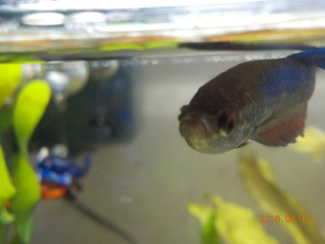 DSCN2393.JPG DSCN2393.JPG