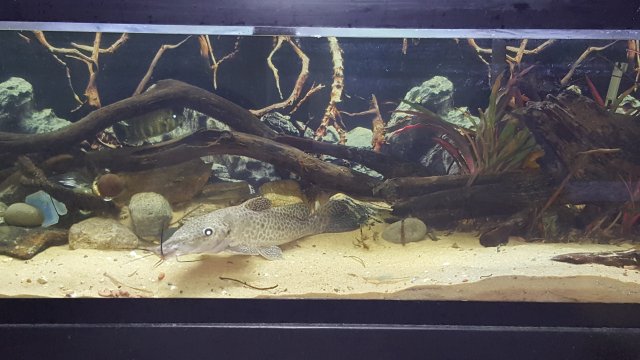 20160719_132544.jpg