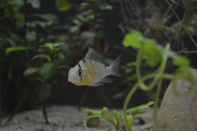 DSC_0213.JPG