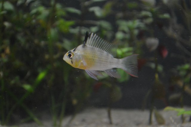 DSC_0216.JPG