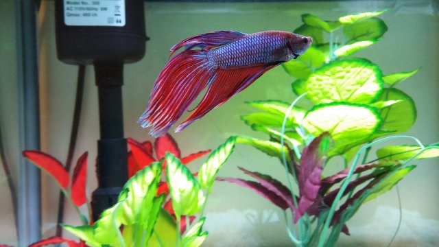 20160830_151937.jpg