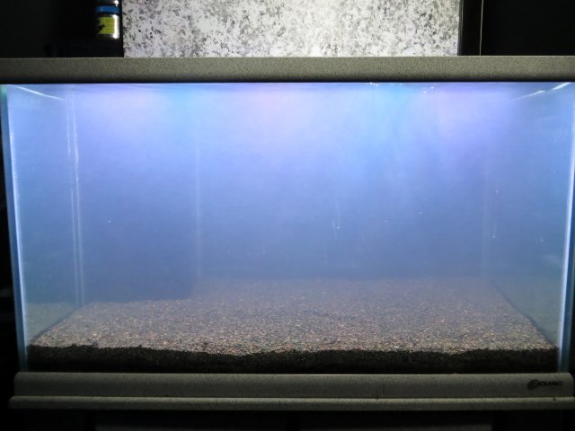 IMG_2776.JPG IMG_2776.JPG
