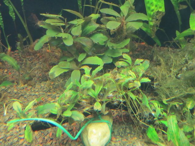 IMG_2890.JPG