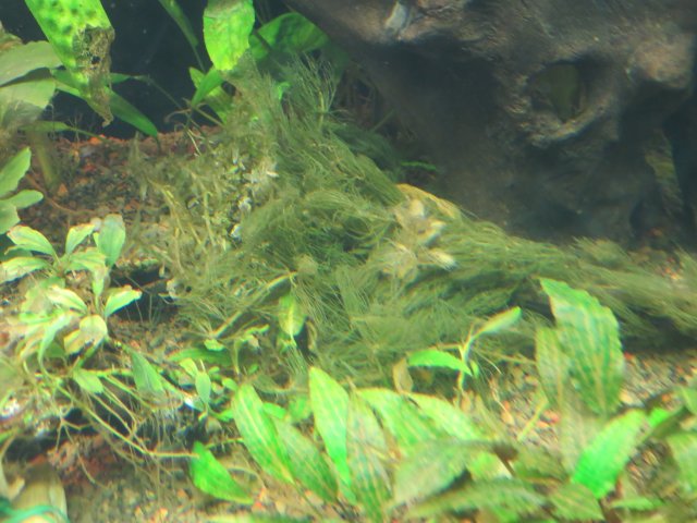 IMG_2891.JPG