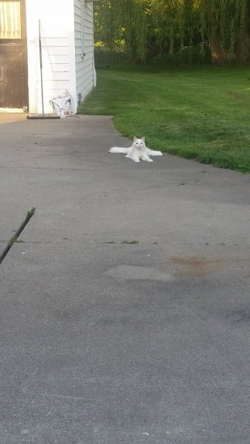 20160530_200527.jpg