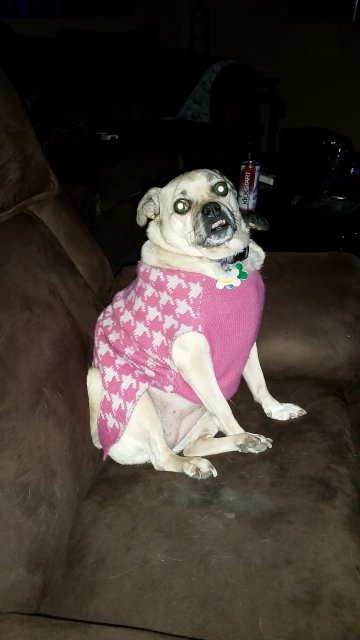 20160329_202403.jpg