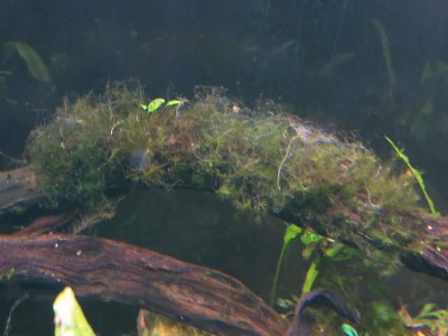 IMG_2901.JPG