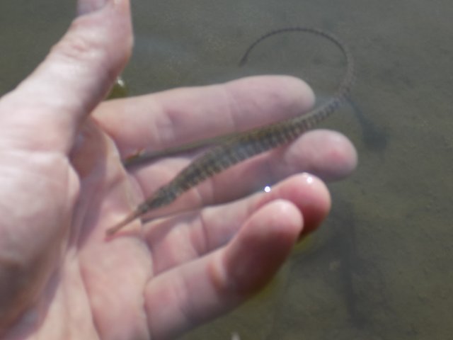 DSCN0546.JPG