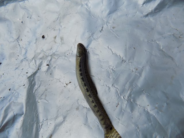 DSCN0559.JPG