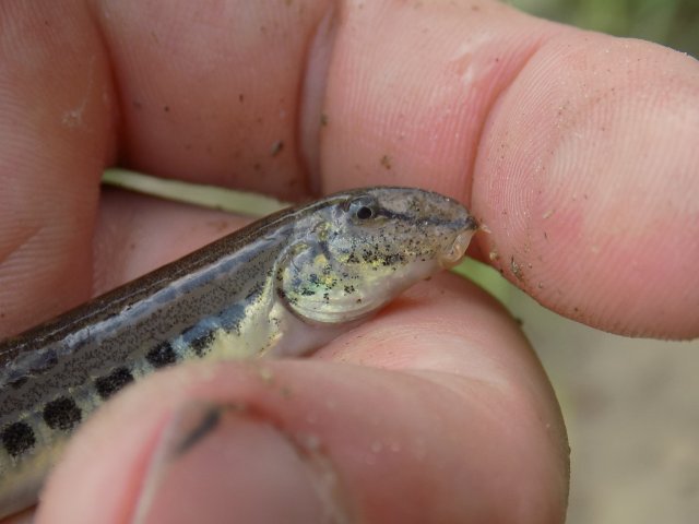 DSCN0562.JPG