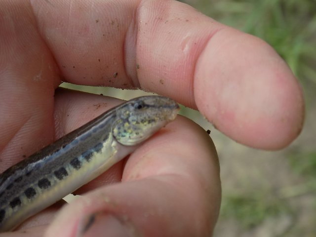 DSCN0563.JPG