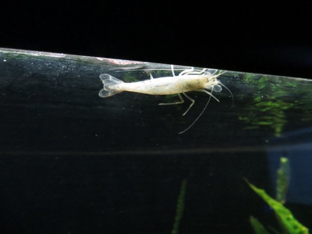 IMG_2942.JPG
