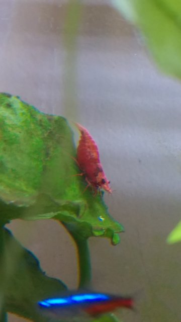 IMAG0666.jpg