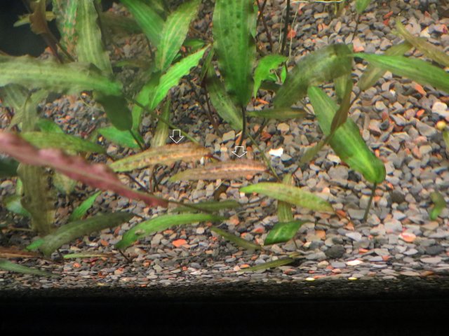 IMG_3035.JPG