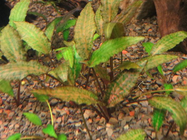 IMG_3037.JPG