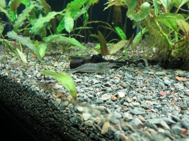 IMG_3018.JPG