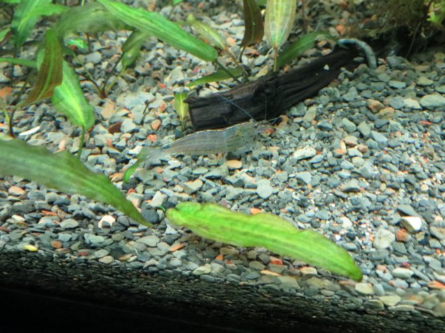 IMG_3017.JPG