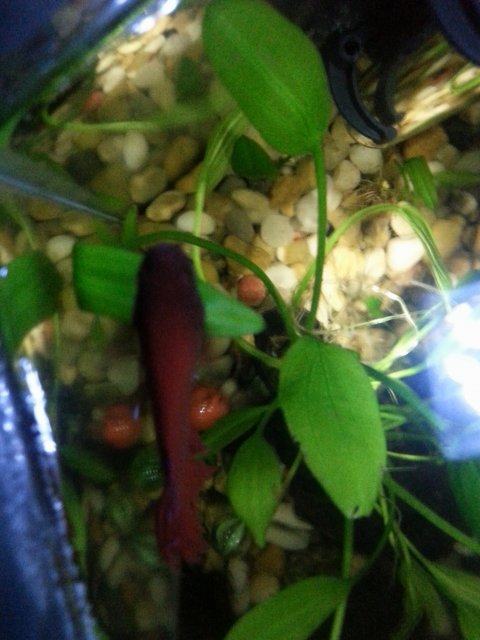 20160510_203857_7.jpg 20160510_203857_7.jpg