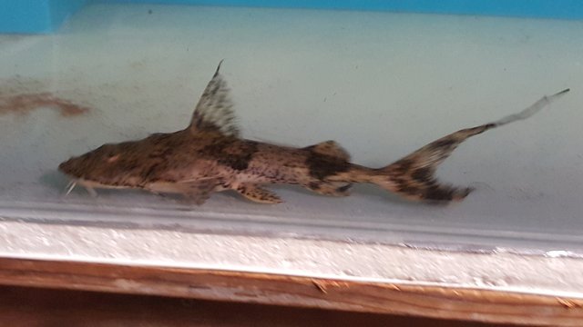 20161102_131026.jpg
