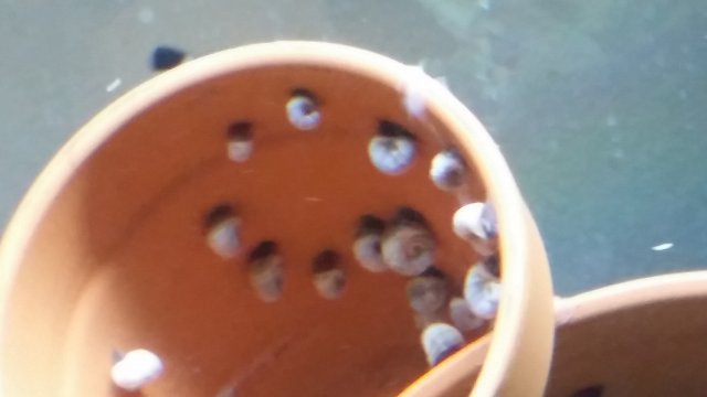 20161023_213644.jpg