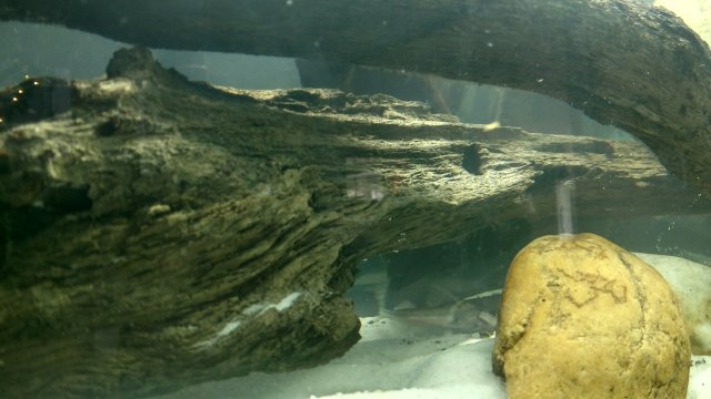 IMG_20161127_135736711_HDR.jpg
