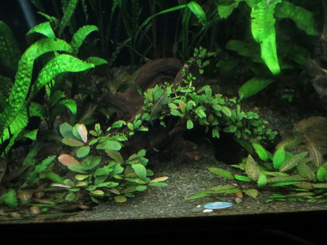 IMG_3255.JPG