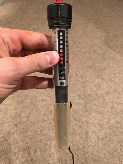 IMG_2935.JPG IMG_2935.JPG