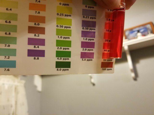 20161127_040735_001 (1).jpg