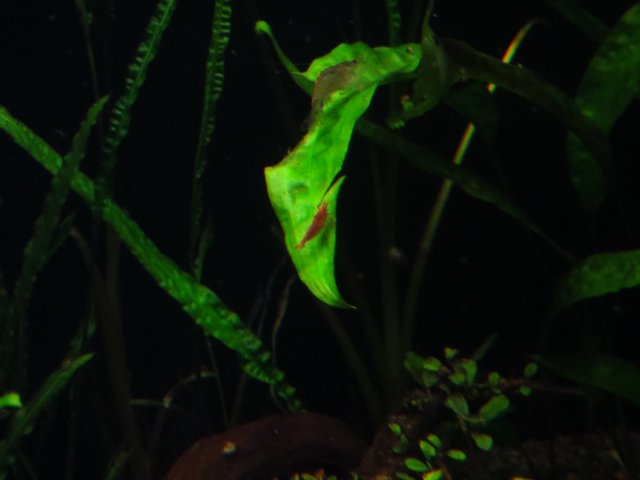IMG_3287.JPG