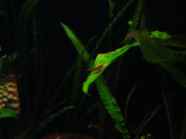 IMG_3289.JPG