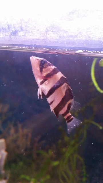 20161219_223040.jpg