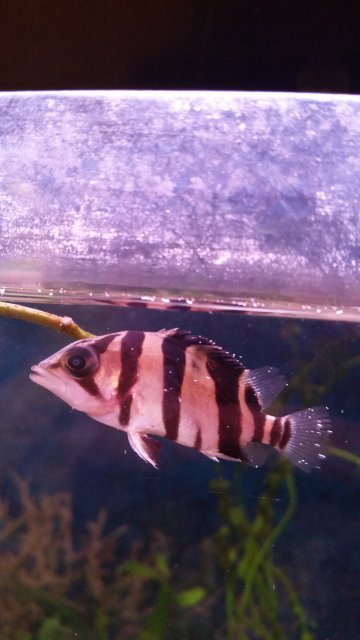 20161219_223016.jpg