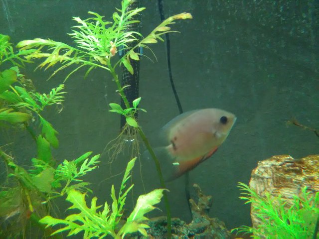 IMG_20161230_201236.jpg
