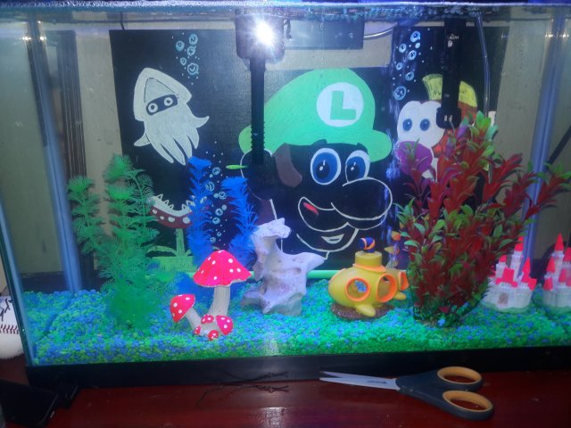 20161228_193508.jpg 20161228_193508.jpg