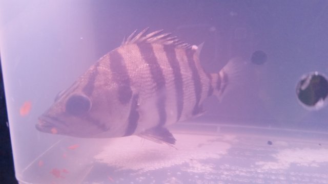 20170106_234133.jpg 20170106_234133.jpg