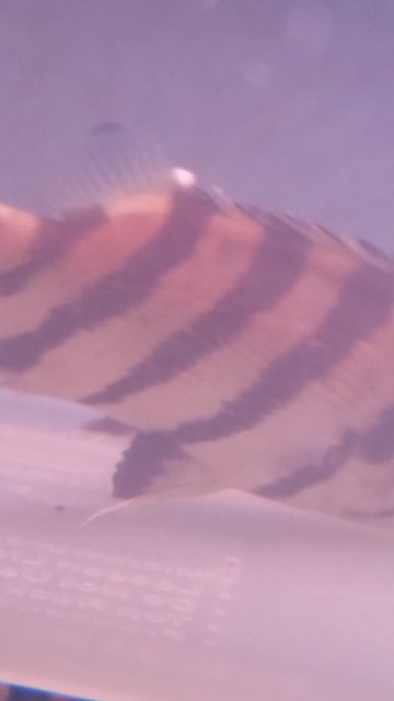 20170104_202413.jpg 20170104_202413.jpg